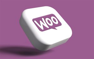 5 Reasons You Too Need A WooCommerce Platform Integrated Into Your WordPress Site